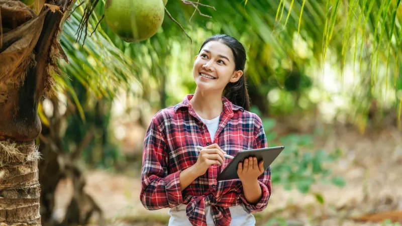 Cum să Alegi Apă de Cocos de Calitate: Ghid Complet pentru Consumatori